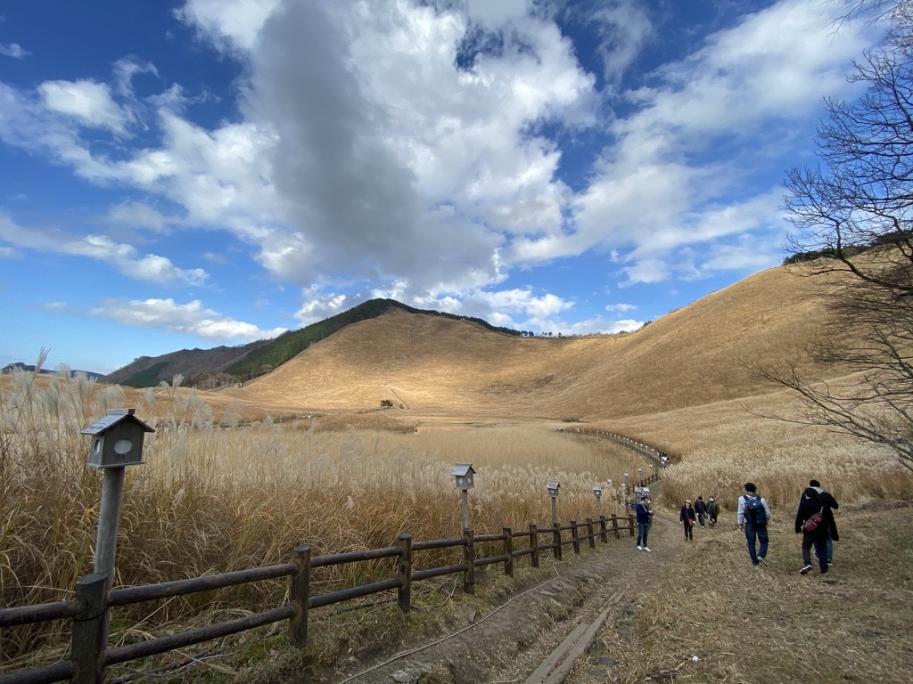 Susuki grassland and walking path at Soni Highlands