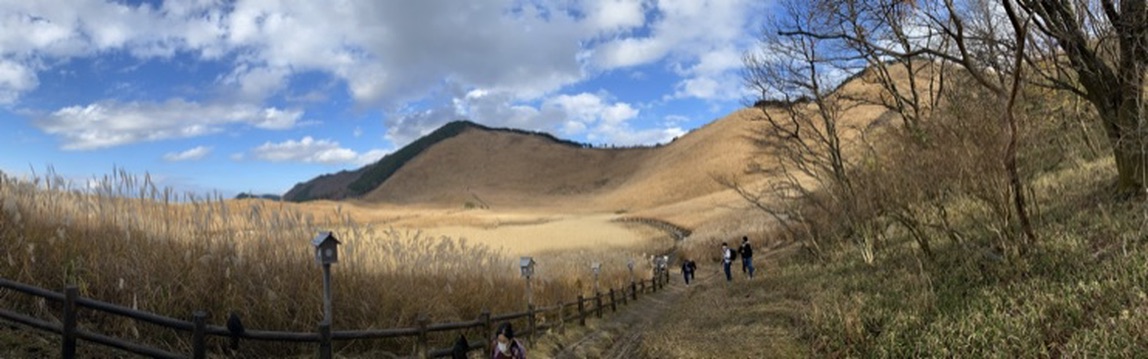 Wide view of the susuki grassland at Soni Highlands